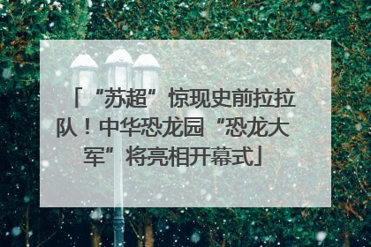 “苏超”惊现史前拉拉队！中华恐龙园“恐龙大军”将亮相开幕式